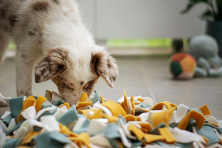 Bored Dog Indoors? Enrichment Toys That Stop Destruction