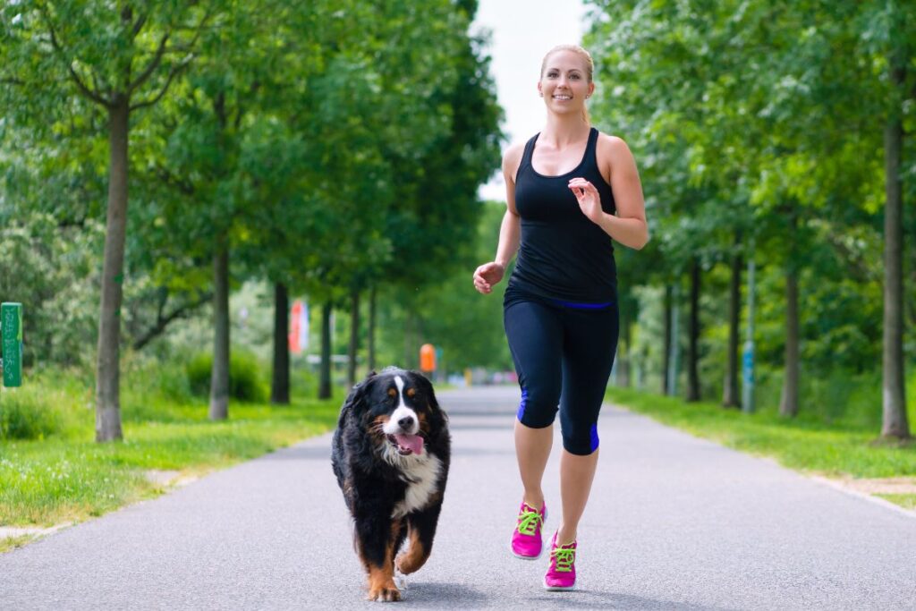 Run With Your Dog: Fitness Tips & Best Breeds